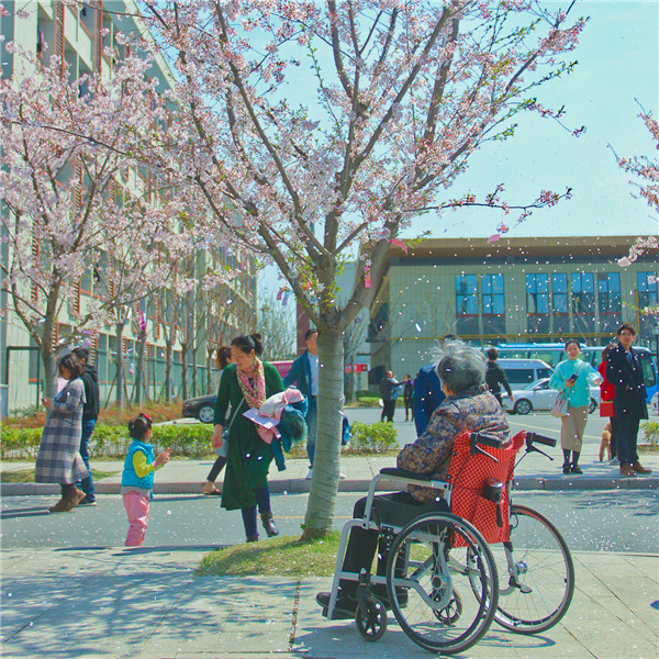 中华人民共和国老年人权益保障法